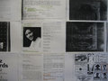 IMG 5104.JPG